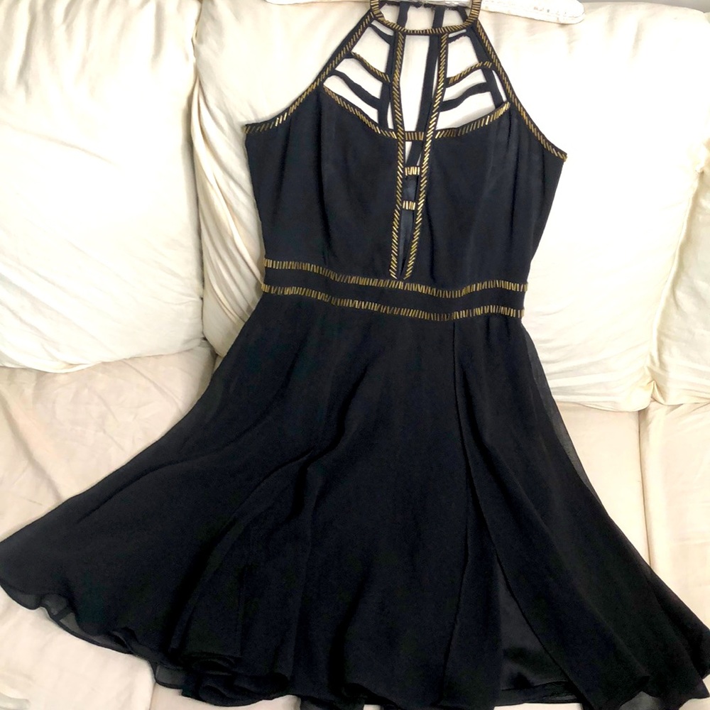 Webbed Black/ Gold Skater Dress